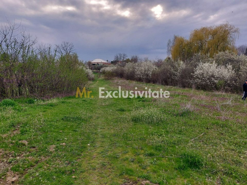 Teren Topoloveni - 3670 mp - langa padure, aproape de Cen...