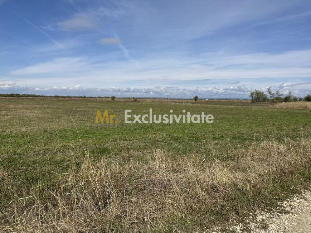 Teren extravilan de vânzare – Căteasca, Argeș | 27.2...