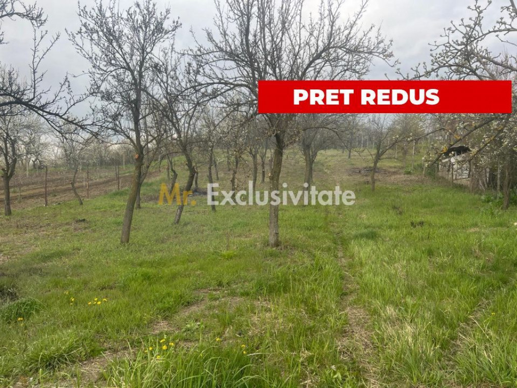 Teren intravilan 2.200 mp cu constructie existenta –Cal...