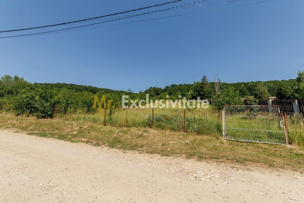 Teren intravilan Ștefănești Valea Mare Podgoria