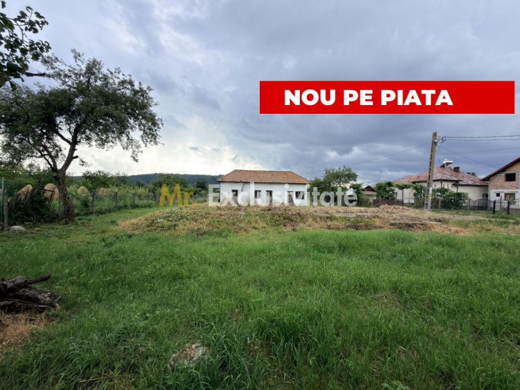 Teren intravilan–2.109 mp | Albești - Transfagarasan -...
