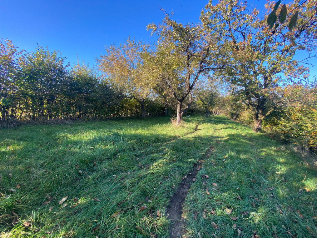 Teren extravilan 3200mp zona Tropinii Vechi