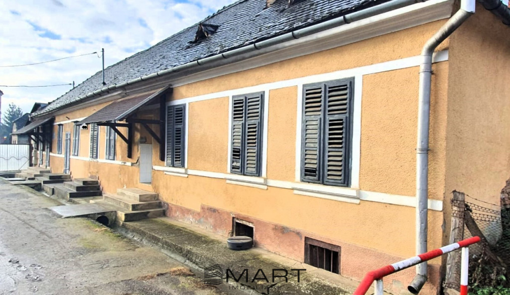 Cladire mixta 250 mp teren 740 in Smig