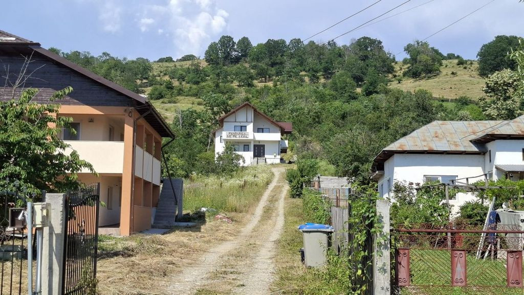 Casă-Pensiune Agroturistica spatioasa P+M Budeasa cu ved...