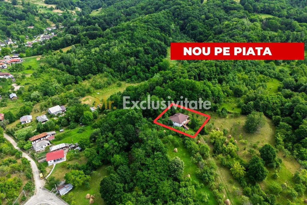 Proprietate de poveste în Corbi, Argeș - Doua case si 6...