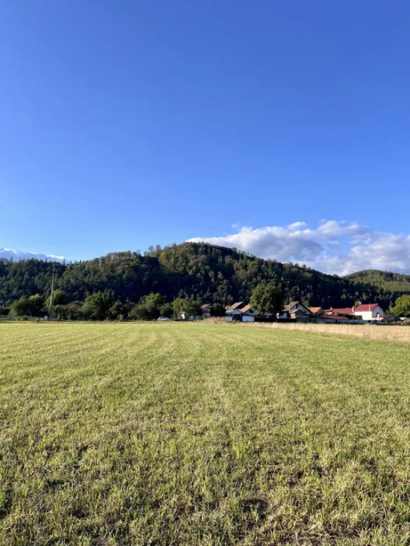 Teren 650 mp Zarnesti