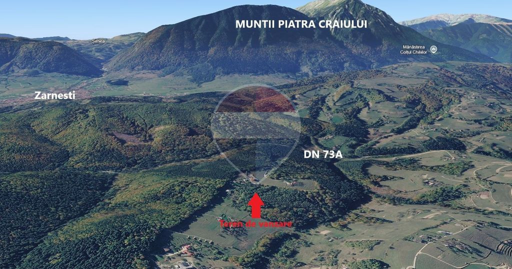 Teren extravilan Poiana Marului 1092mp, inconjurat de padure