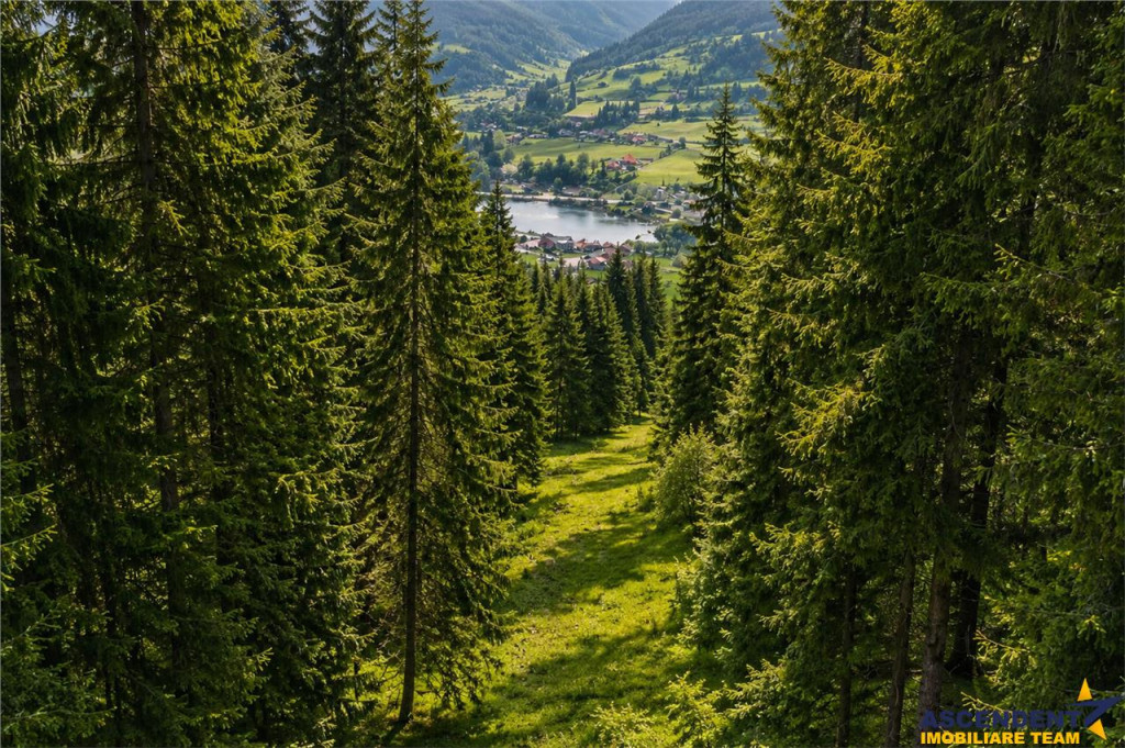 FILM!Teren 7.800mp,fosta partie de schi,investitie turistica