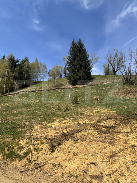 Teren intravilan, 1800 mp, str. Roșu, Vatra Dornei