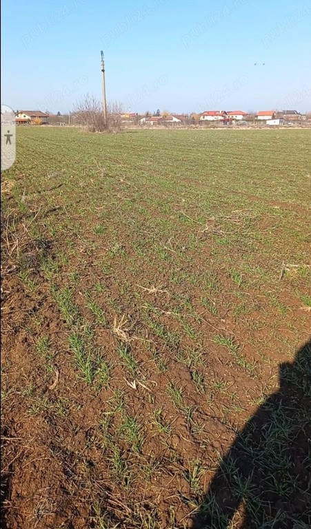 Teren de 1.500 mp de vanzare Ghermănești – Snagov | L...