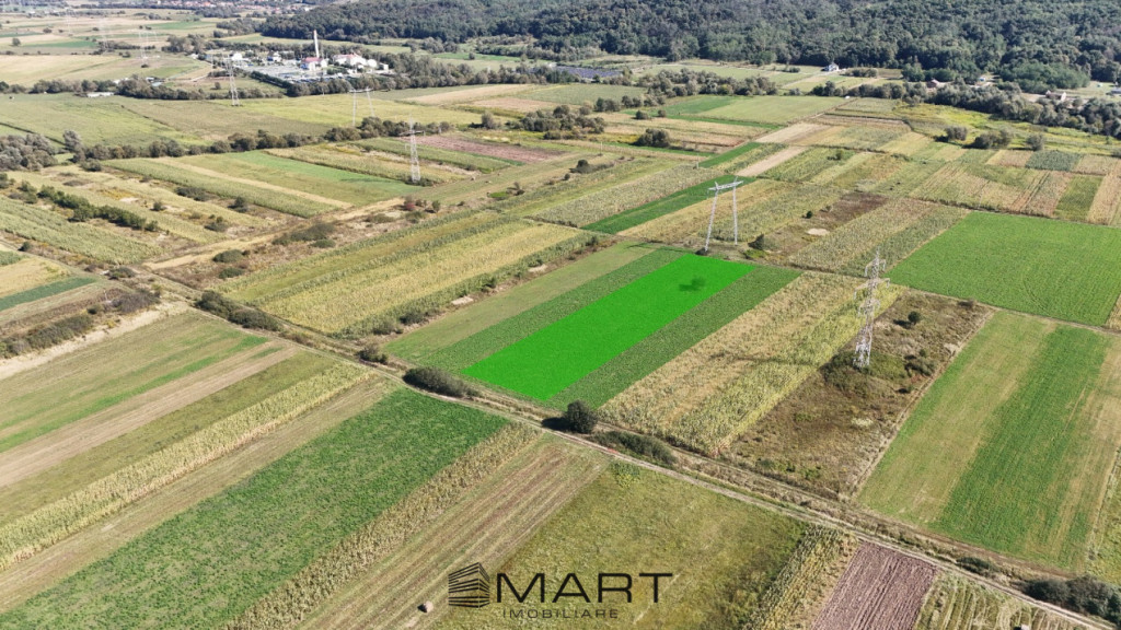 Teren extravilan de vânzare –5000 mp, Șelimbăr (Mohu)