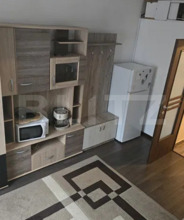 Apartament 1 camera, 27 mp, pet friendly, zona Bulgaria