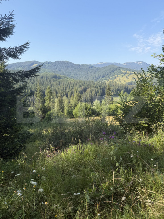 Teren extravilan, 7649 mp, zona Câmpulung Moldovenesc