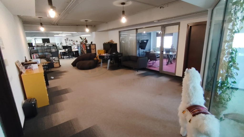 Spatiu Comercial Birouri I Dorobanti