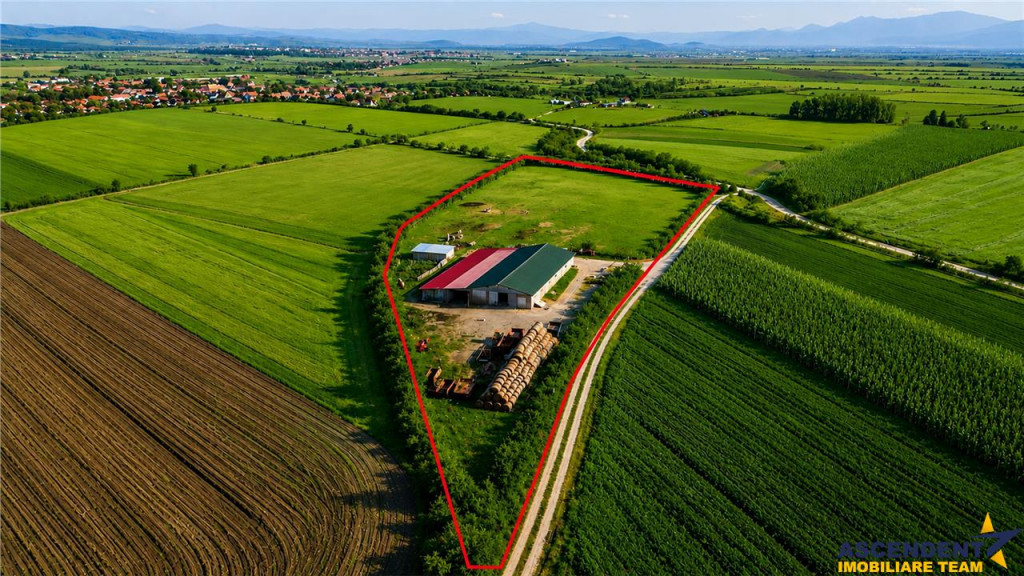 FILM! 18.000 mp, extravilan, agricol constructii:ferma,inve