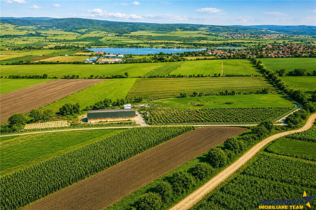 FILM! 18.000 mp, extravilan, agricol constructii:ferma,inve