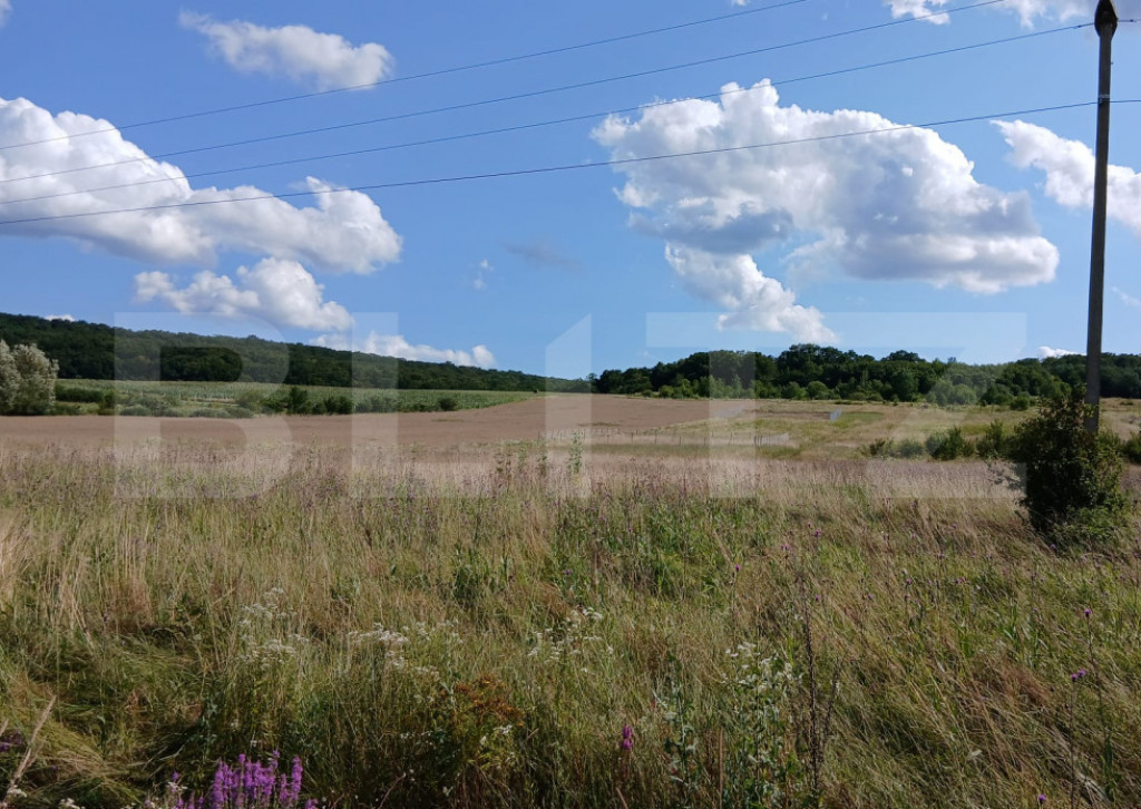 Teren de vânzare, 500 mp, zona Livezeni
