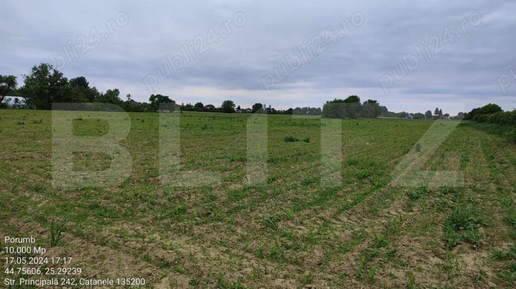 Teren 1 hectar – Intravilan + Extravilan | Acces facil | P