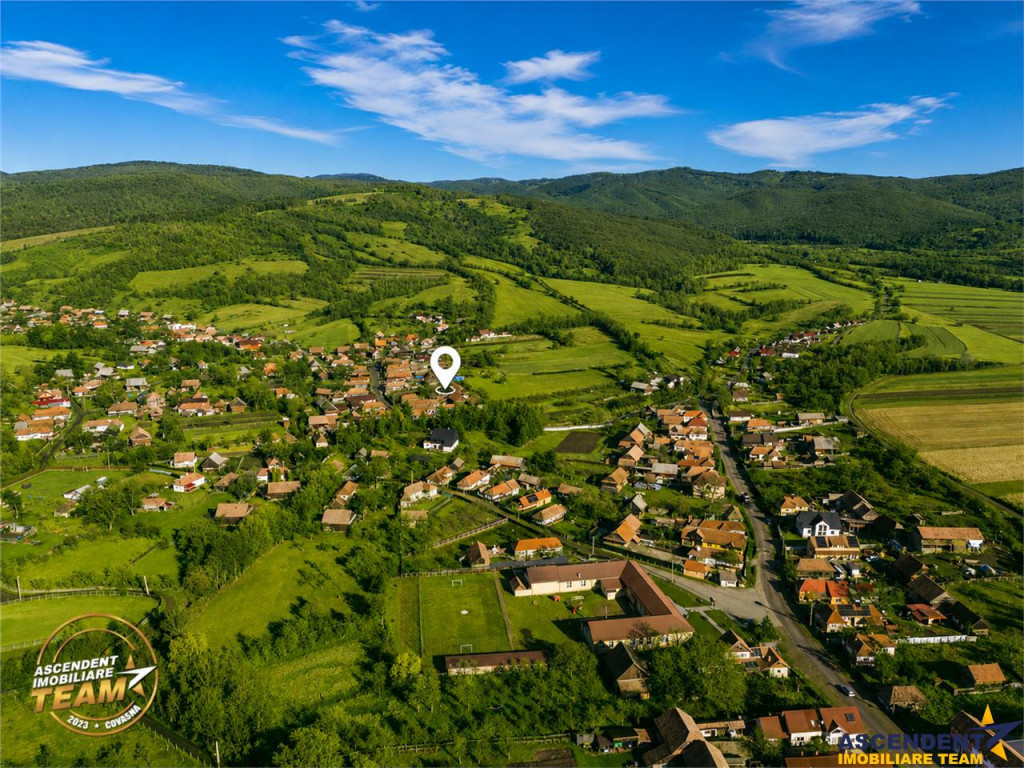 FILM! Domeniu de 6.221mp, livada pomi fructiferi casa si ane