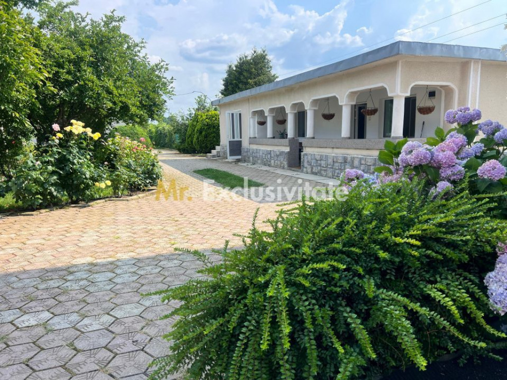 Casa visurilor cu 4000 mp livada roditoare si gradina Dar...