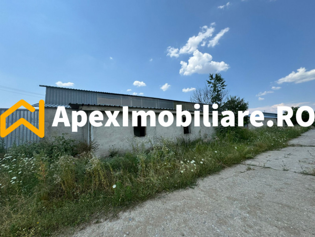 Hale Industriale de Vânzare Baicoi – 1100 mp + 800 mp, te