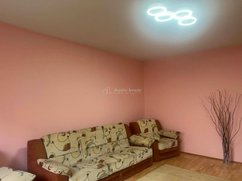 4 camere - Anastasie Panu - Timpuri Noi