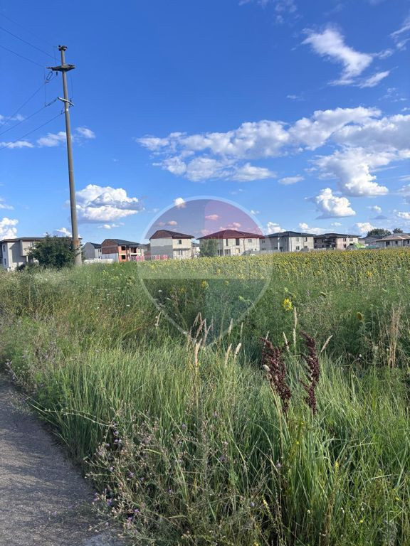Drumul Varful Berivoiul Mare-Baneasa