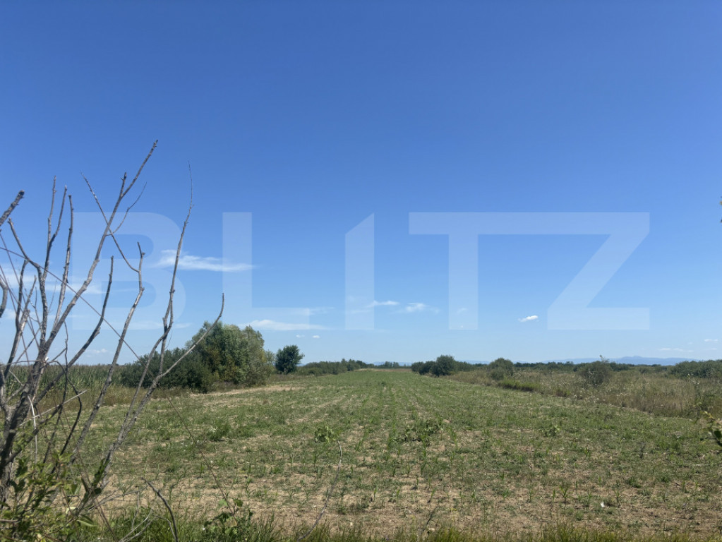 Teren extravilan, 6200 mp, zona Cionchesti