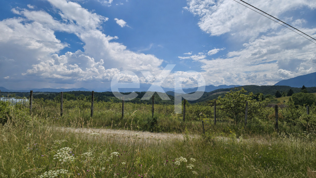 PANORAMA POIANA MĂRULUI | Teren cu potențial de dezvoltare