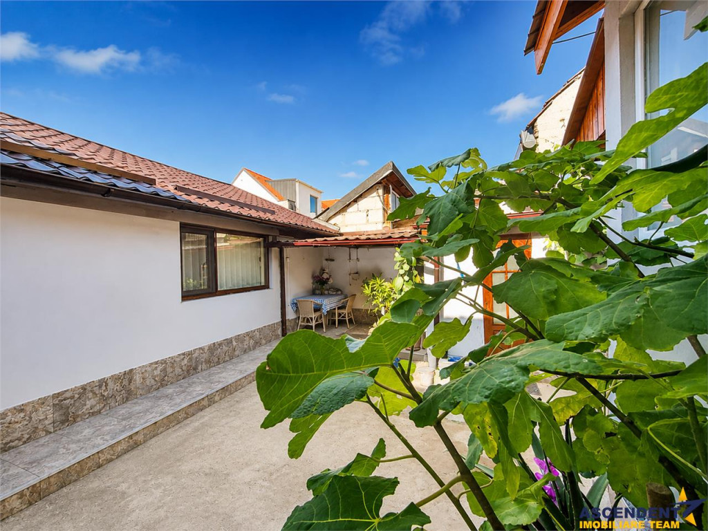 Corp de casa cu 2 imobile, intrari separate, pod si beci gen