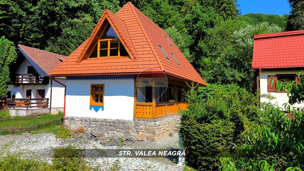De Vanzare CABANA Valea Neagra, spre Statiunea Izvoare