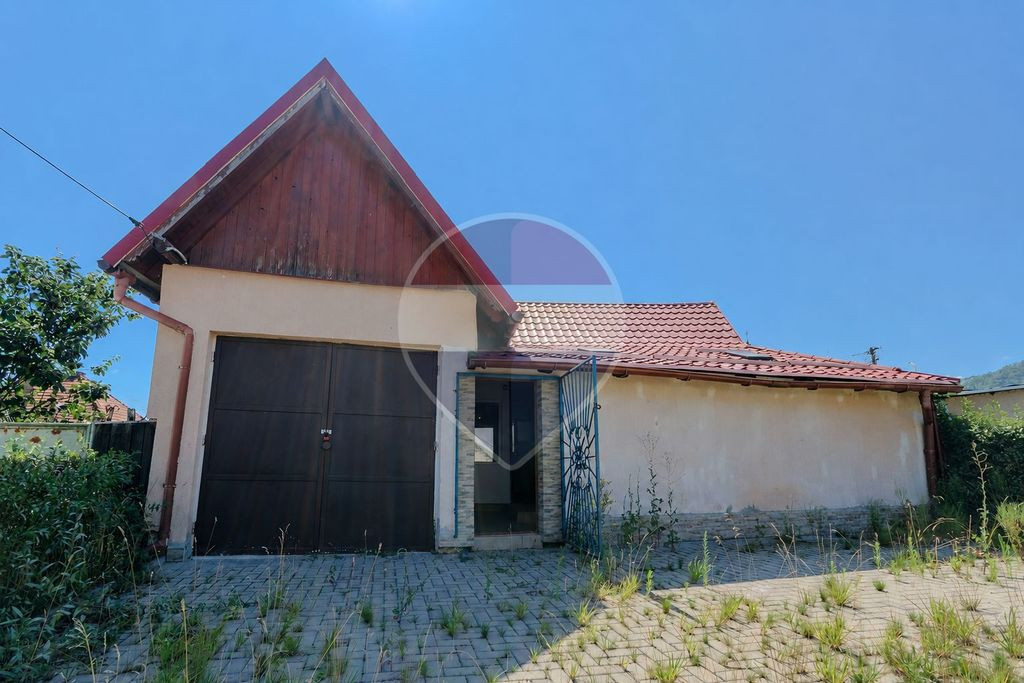 Spatiu comercial Judetean - Vad stradal