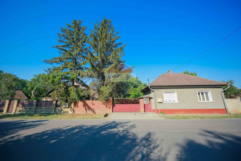 Casă de vânzare cu 4 camere - Santăul Mare, comuna Bor...