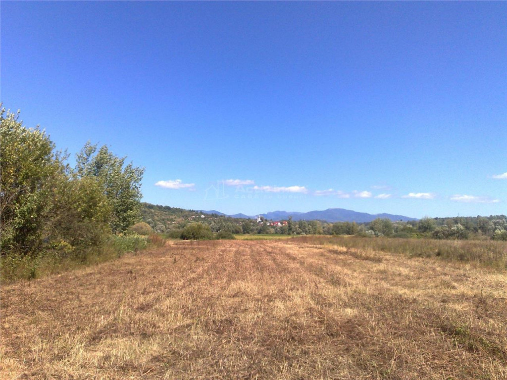 Teren intravilan 55 Ari Sacalaseni strada principala