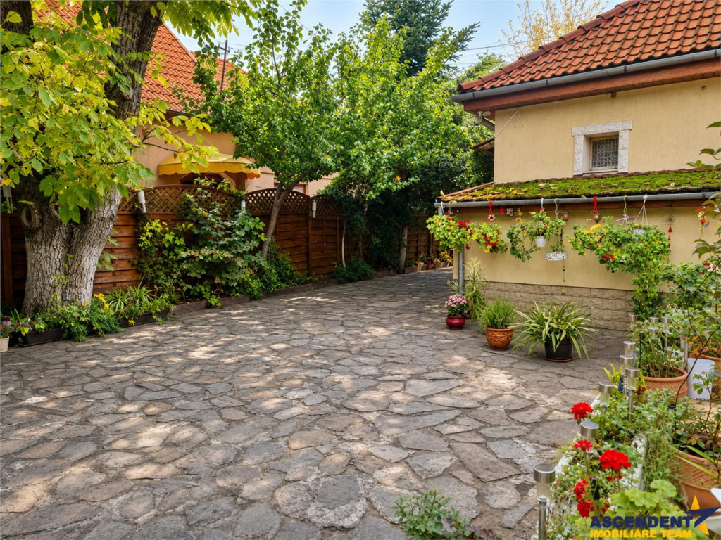 Castelariu:spectacol panoramic,locatie prestigioasa,Central,