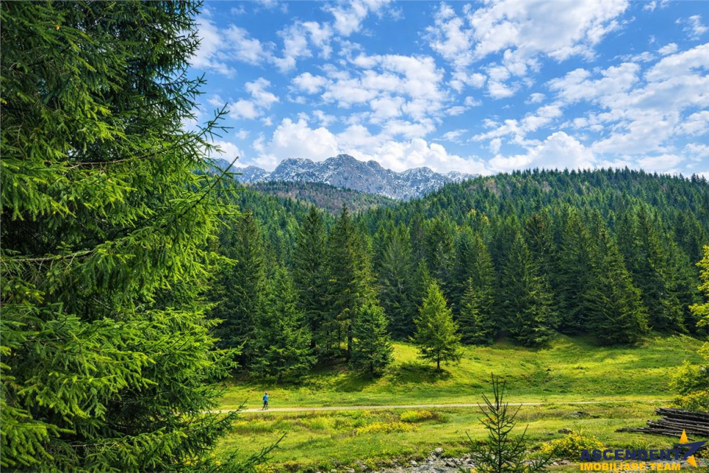 Teren intravilan panoramic 4.600 mp, view iconic Piatra Crai