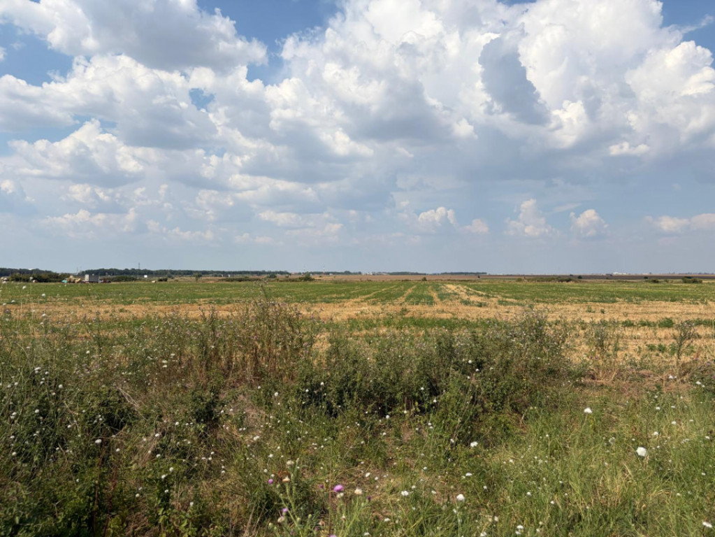 Cârcea – Teren 12.000 mp cu deschidere de 51,17 ml