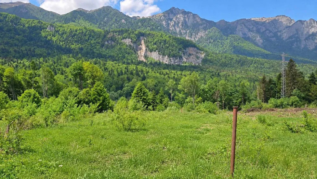 Teren intravilan, 1.724 mp, zona Sinaia