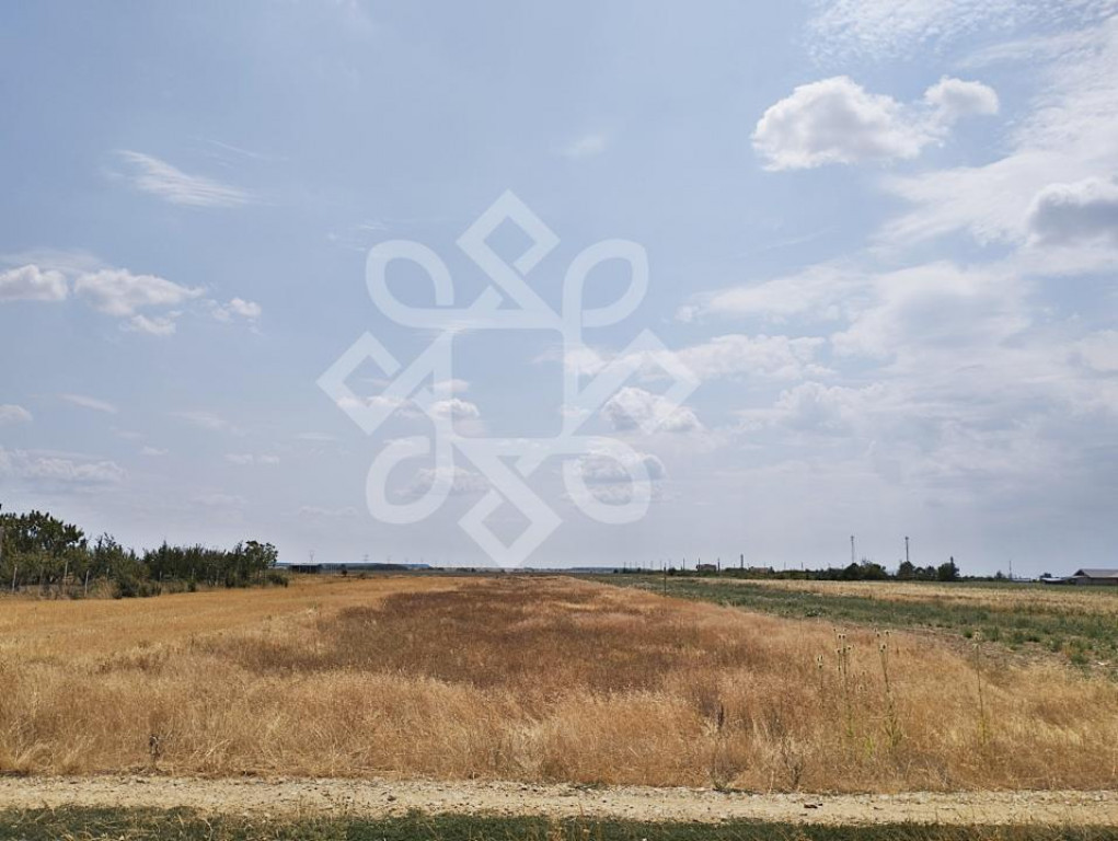 Teren intravilan de vanzare, 3000 mp in Gepiu, Bihor