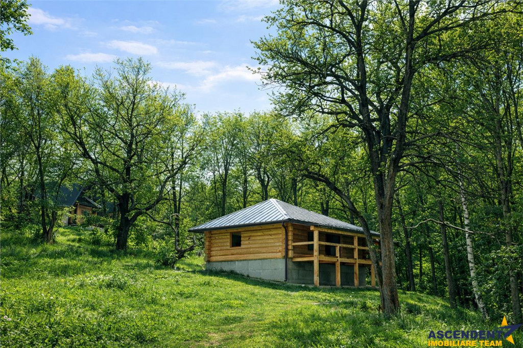 3.000mp de incantare montana cu cabana din lemn masiv, Zarne