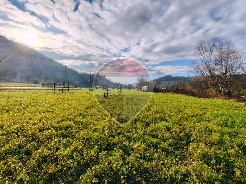 Teren intravilan-2.600 mp în Bârsana | 100 ml deschider...