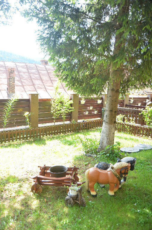 Busteni-Vila de vacanta ,panorama spectaculoasa