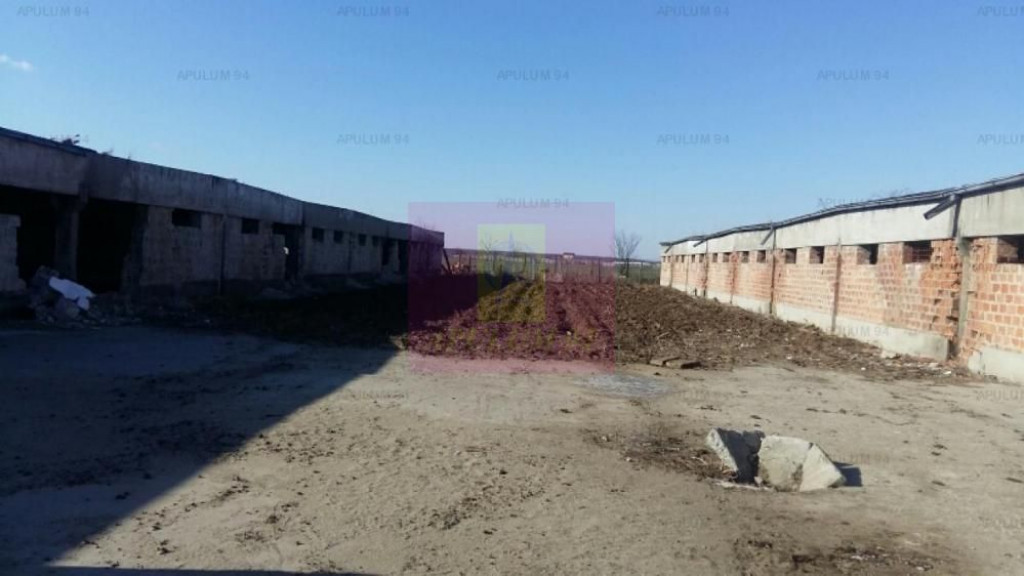 Teren Balotesti- Saftica- ideal pentru constructie locuinte.
