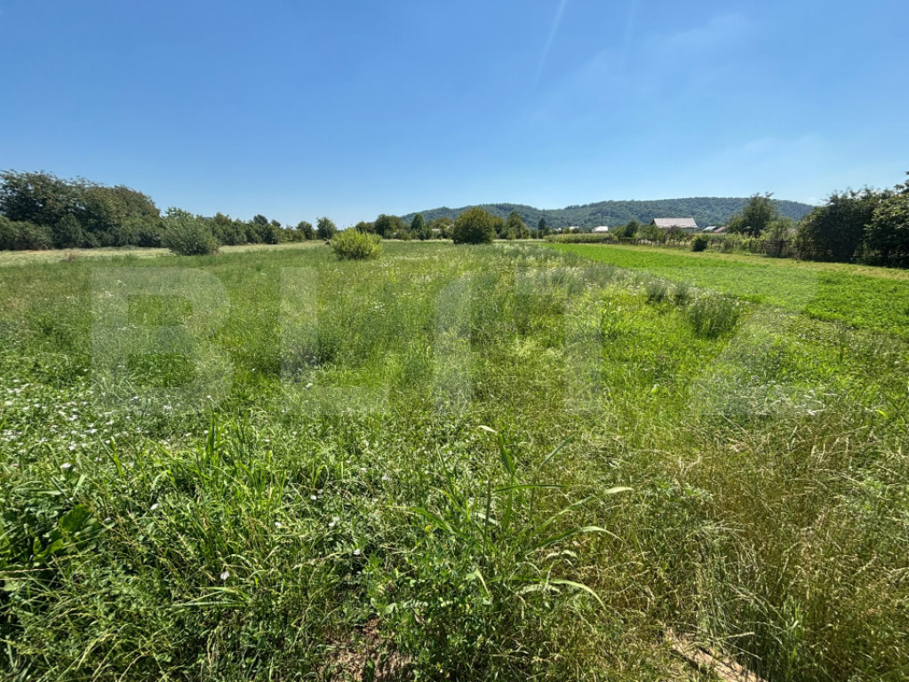 Teren intravilan, 1.782 mp, deschidere 20 ml, zona Branesti