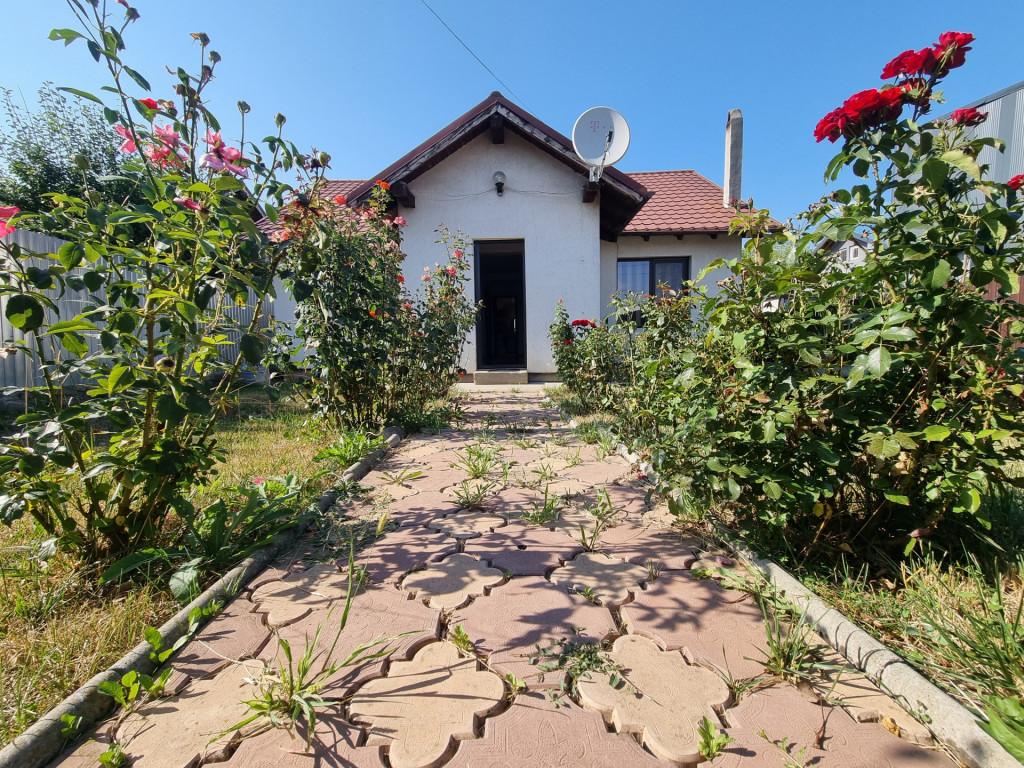 Casa cu trandafiri din Letea Veche, construcție 2013