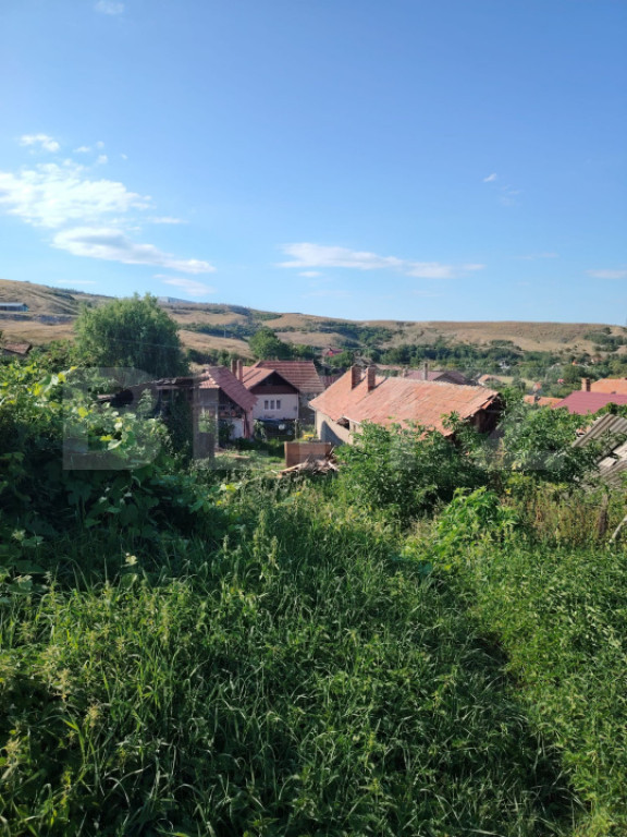Poveste de vis lângă Cheia — teren cu casă bătrâneasc
