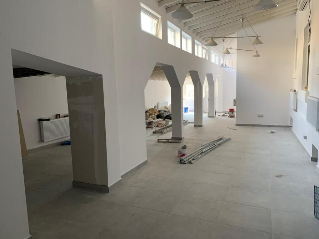 Dacia - Vasile Lascar I Vila 9 camere I Renovata recent