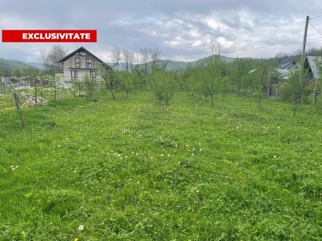 Teren Intravilan 12500 mp Drajna de Sus - Teisani.