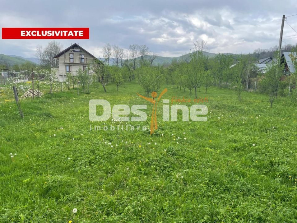 Teren Intravilan 12500 mp Drajna de Sus - Teisani.