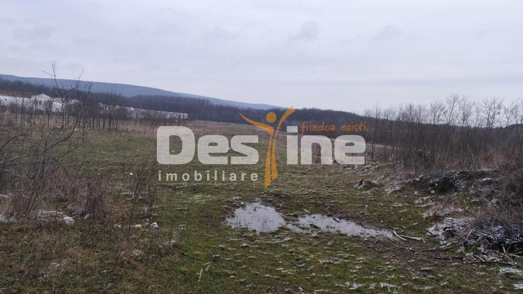 Teren intravilan 7500 mp